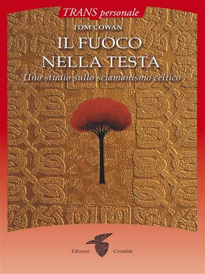 cover image of Il fuoco nella testa